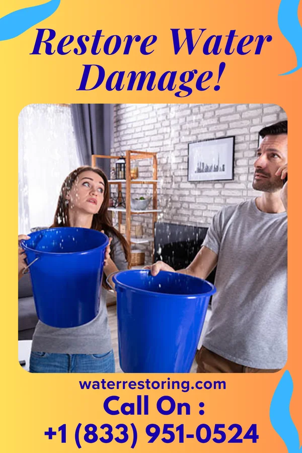 water restoration United Water Solutions Experts Drayton