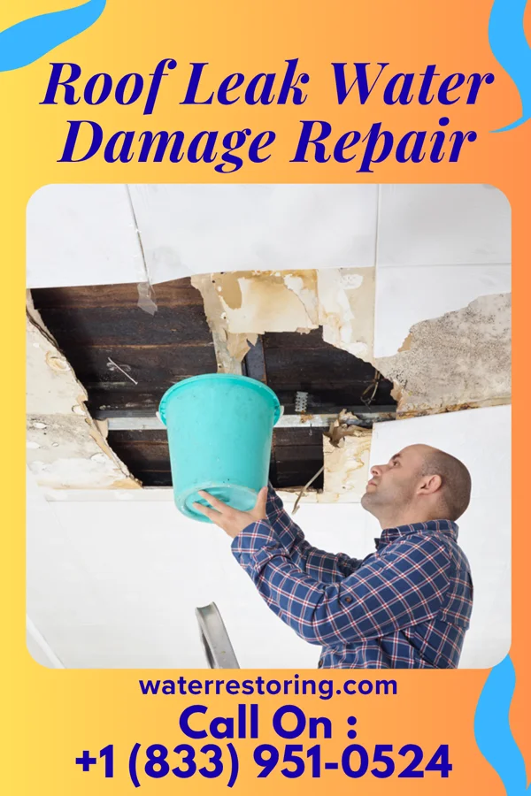 Roof Leak Water Damage Repair in Drayton, ND