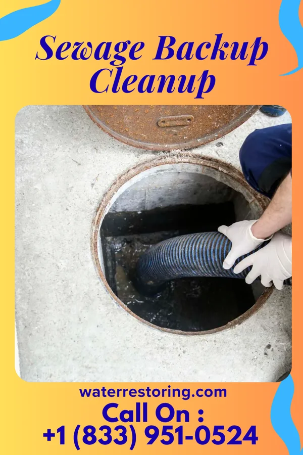 Sewage Backup Cleanup in Drayton, ND