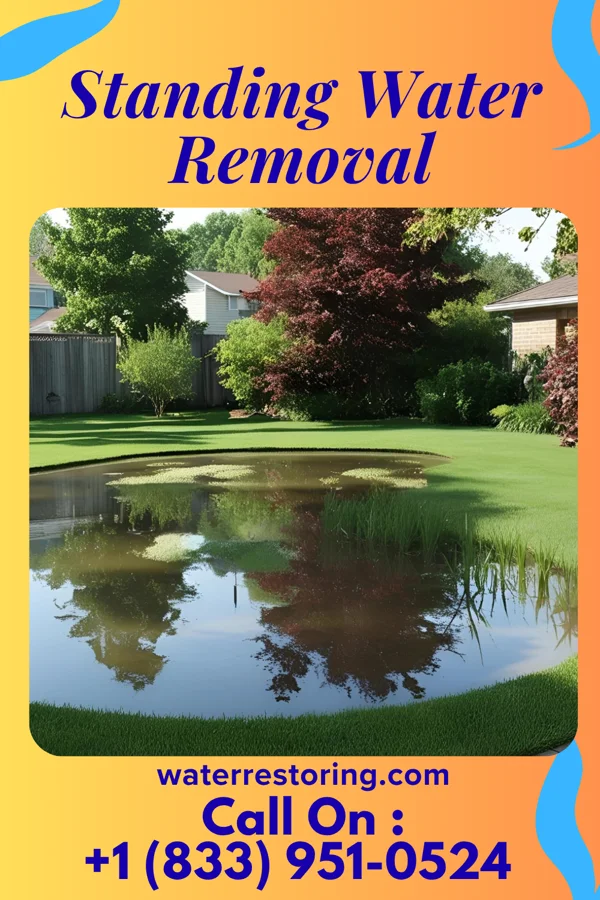Standing Water Removal in Drayton, ND
